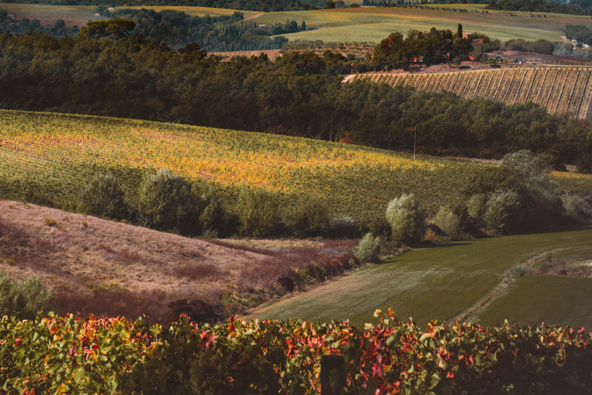 Autunno in Valdichiana Senese da veri local