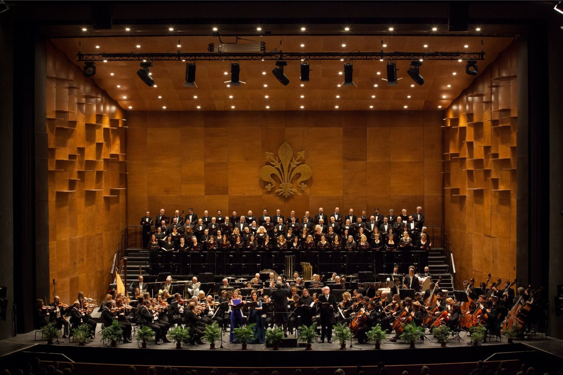 Program Image